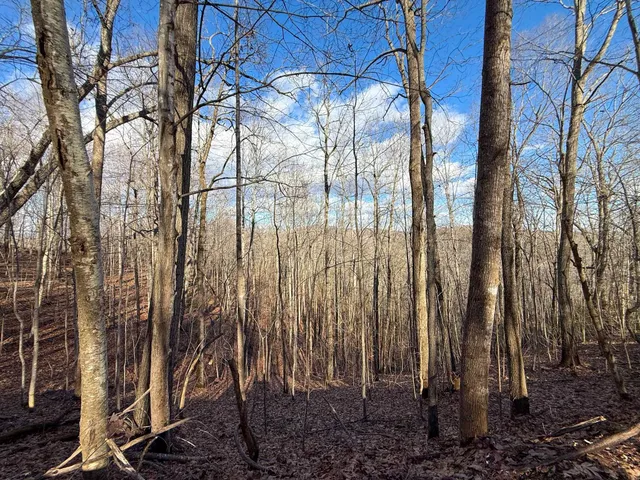 $1,100,000 | Tbd Johnson Hollow, Schuyler, VA 22969