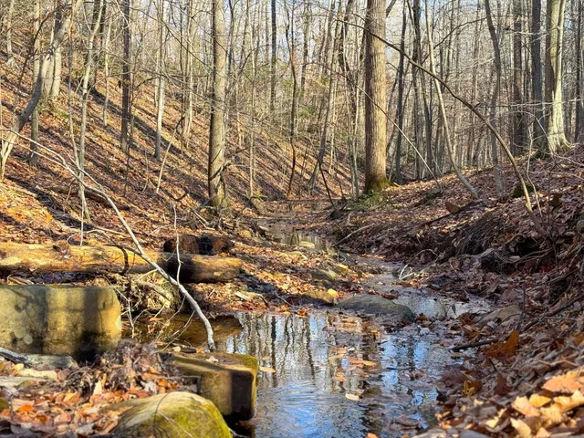 $1,100,000 | Tbd Johnson Hollow, Schuyler, VA 22969