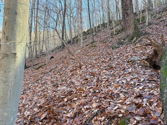 $1,100,000 | Tbd Johnson Hollow, Schuyler, VA 22969