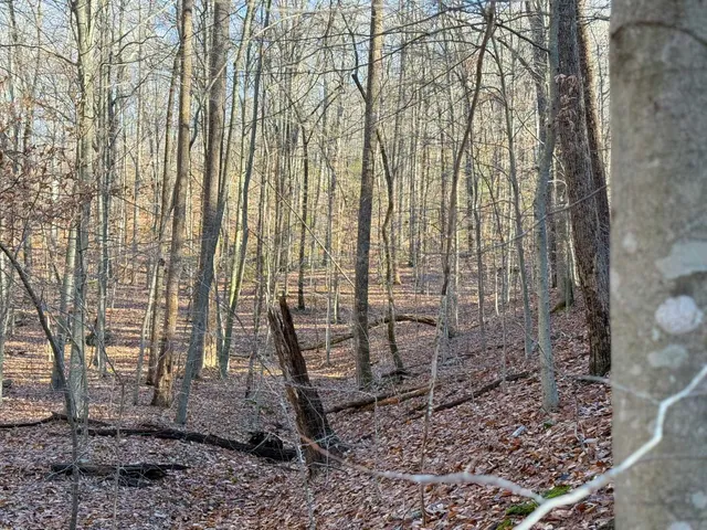 $1,100,000 | Tbd Johnson Hollow, Schuyler, VA 22969