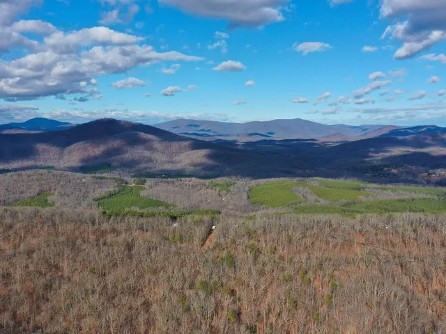 $1,100,000 | Tbd Johnson Hollow, Schuyler, VA 22969