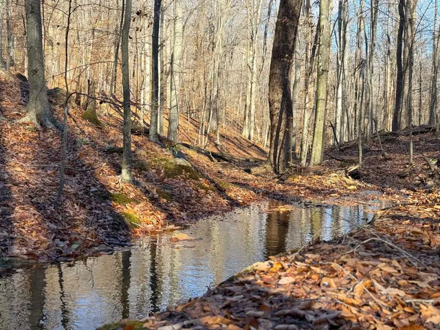 $1,100,000 | Tbd Johnson Hollow, Schuyler, VA 22969