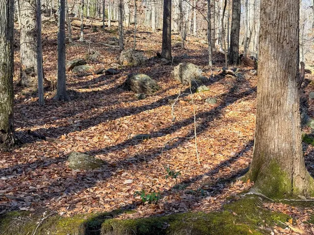 $1,100,000 | Tbd Johnson Hollow, Schuyler, VA 22969