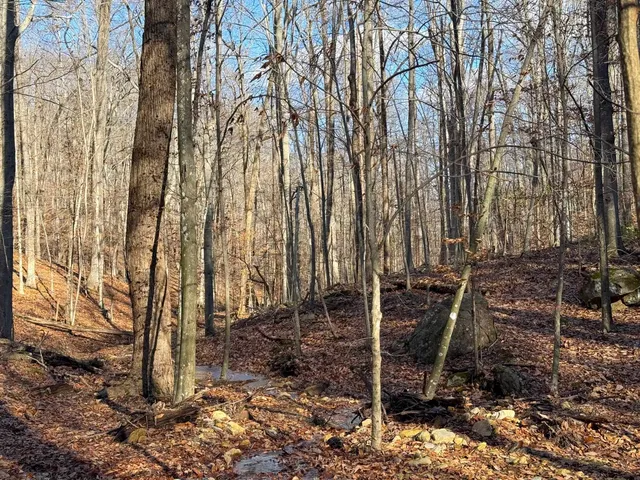 $1,100,000 | Tbd Johnson Hollow, Schuyler, VA 22969