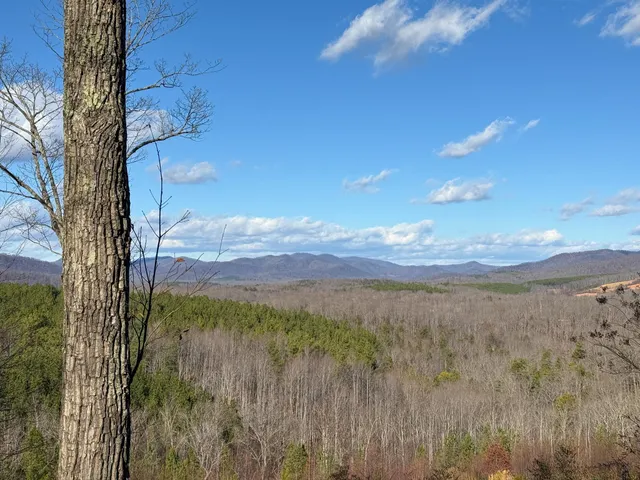 $1,100,000 | Tbd Johnson Hollow, Schuyler, VA 22969