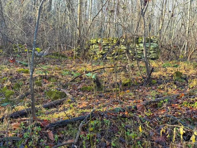 $1,100,000 | Tbd Johnson Hollow, Schuyler, VA 22969