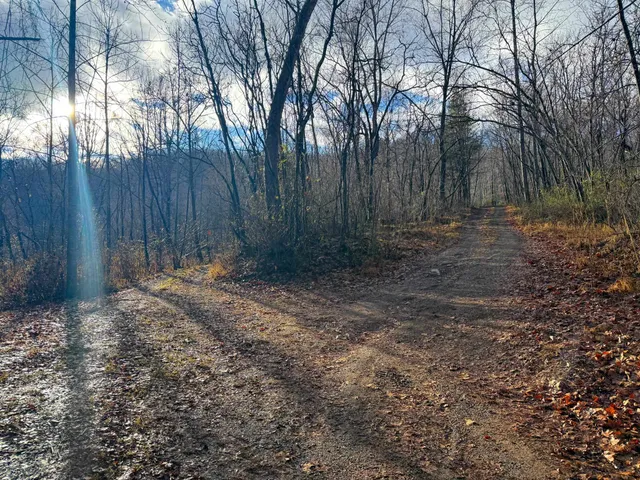 $1,100,000 | Tbd Johnson Hollow, Schuyler, VA 22969