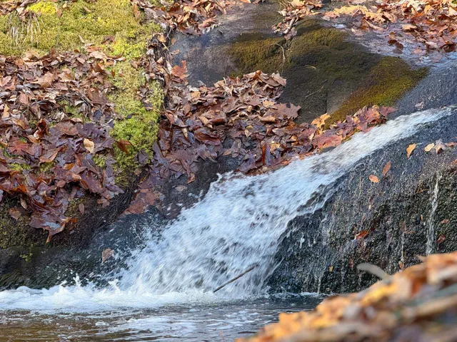 $1,100,000 | Tbd Johnson Hollow, Schuyler, VA 22969