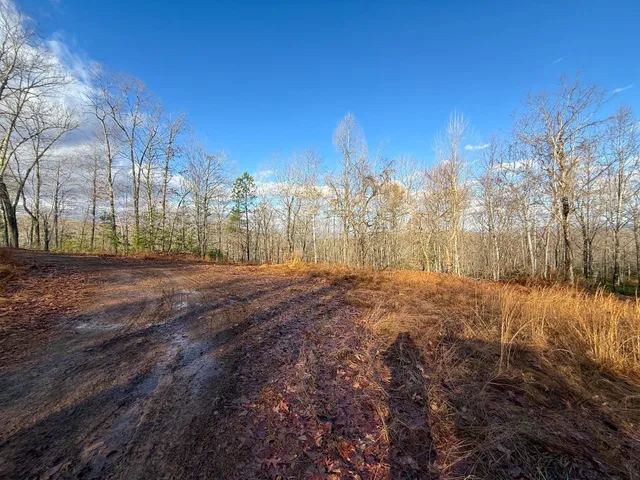 $1,100,000 | Tbd Johnson Hollow, Schuyler, VA 22969