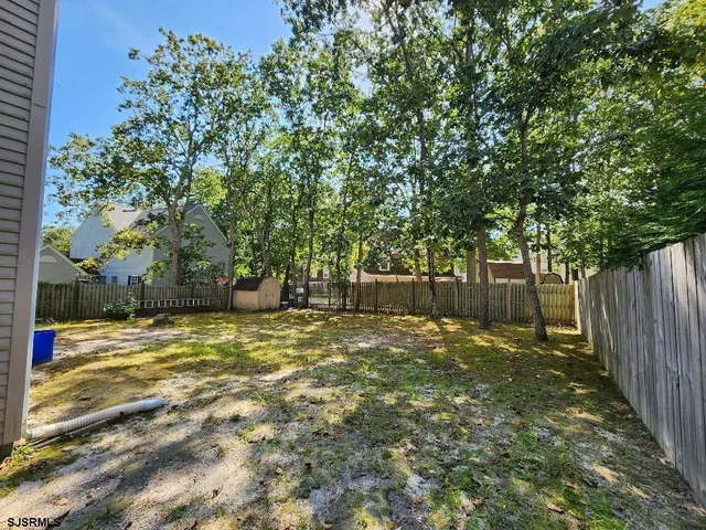 a view of a yard with large tree and wooden fence