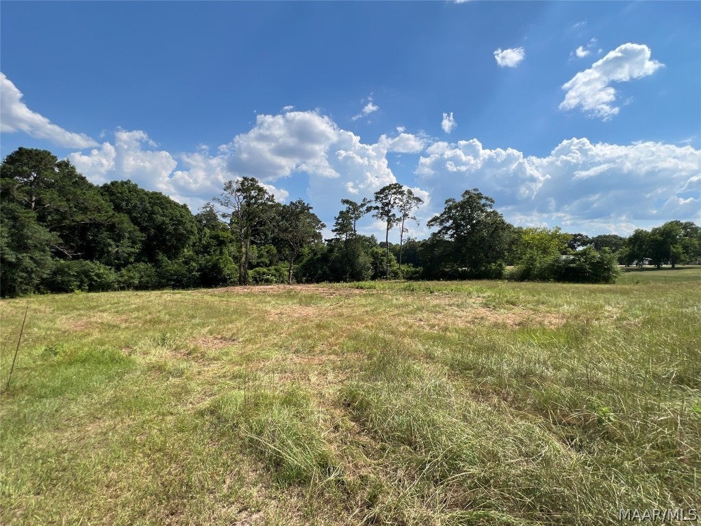 0 Rucker Boulevard Enterprise, AL 36330 - Photo 8 of 14 Gallery Image 8