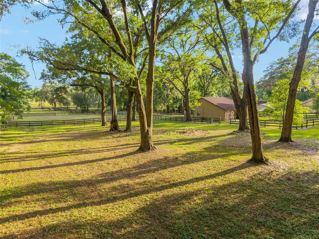 8117 Southwest 41st Place Road Ocala, FL 34481 - Photo 15 of 55