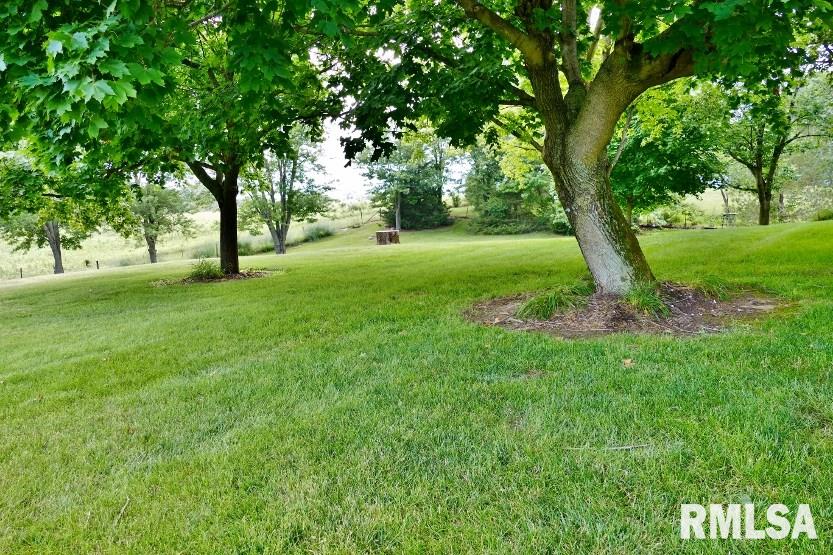 8326 Brimfield Jubilee Road Dunlap, IL 61525 - Photo 47 of 49 Gallery Image 47