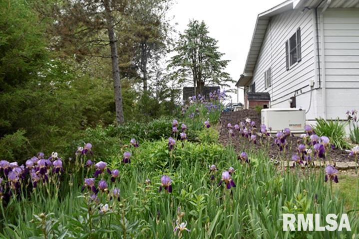 8326 Brimfield Jubilee Road Dunlap, IL 61525 - Photo 6 of 49 Gallery Image 6
