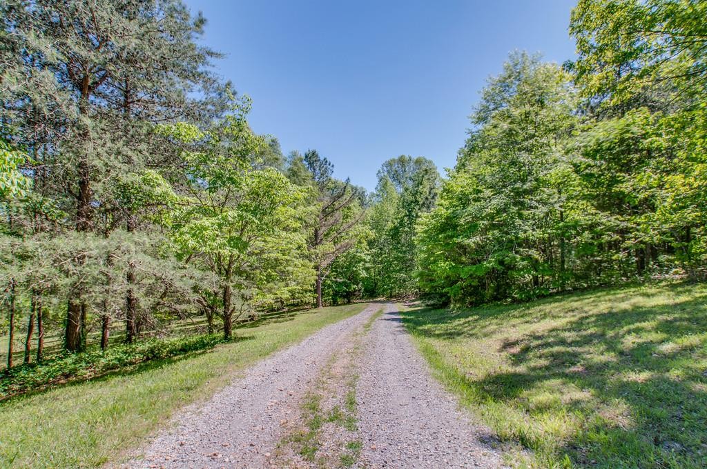 7394 Forest Glenn Road Fairview, TN 37062 - Photo 30 of 30 a view of a yard with plants and trees