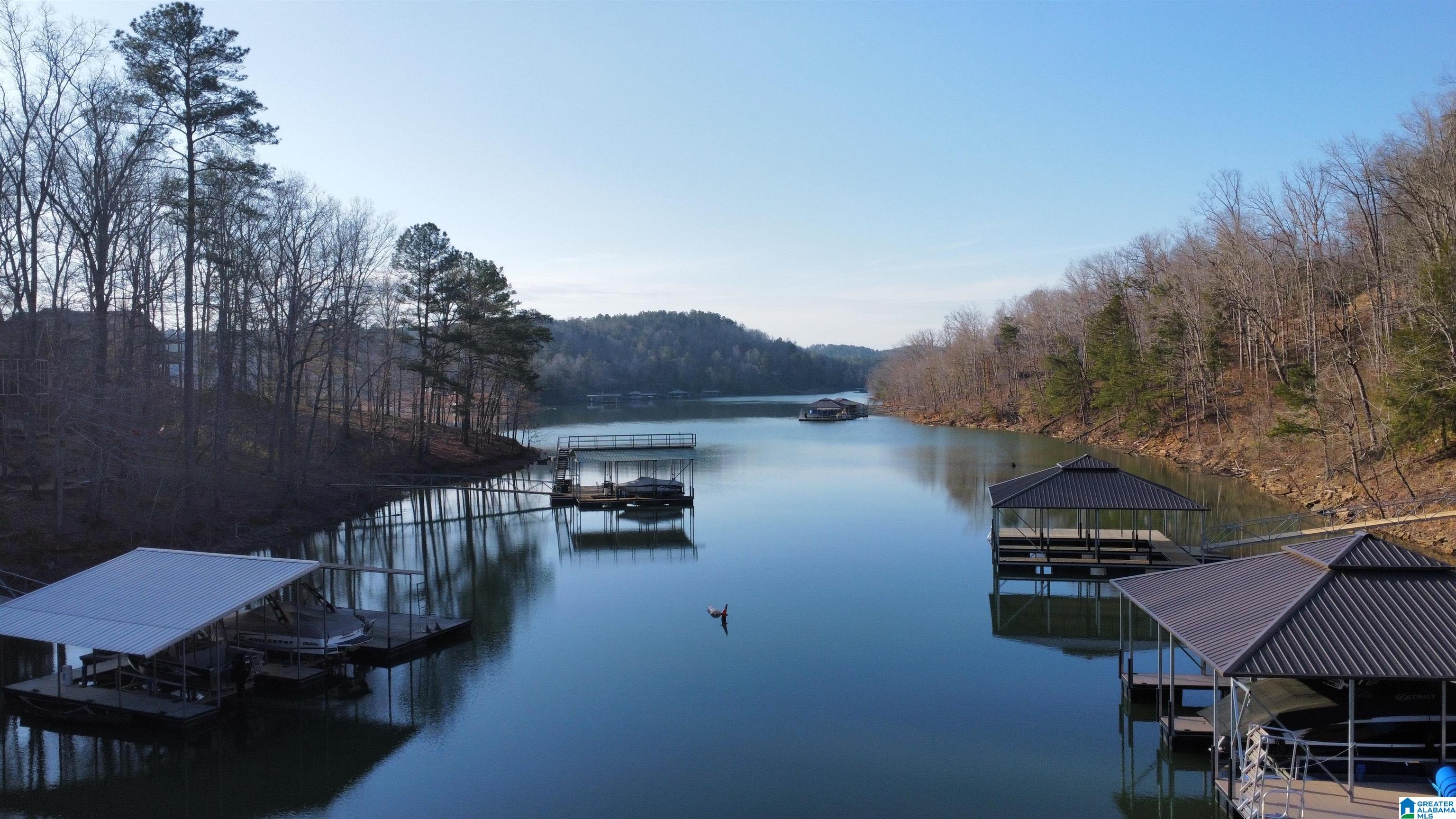 Lot 6 Legends Lane, Unit 6 Arley, AL 35541 - Photo 7 of 18
