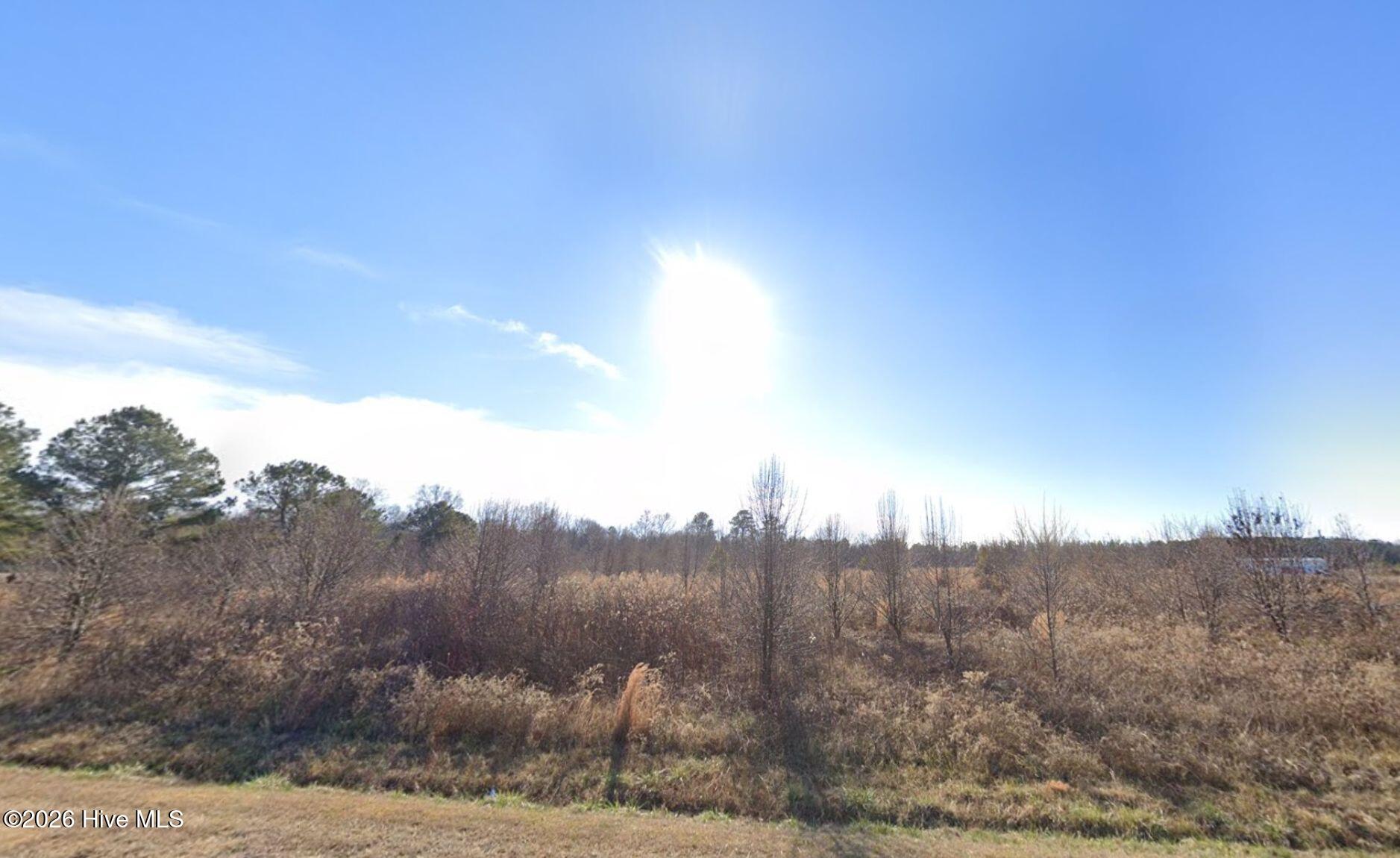 10002 Titan Roberts Road Erwin, NC 28339 - Photo 2 of 12 Gallery Image 2