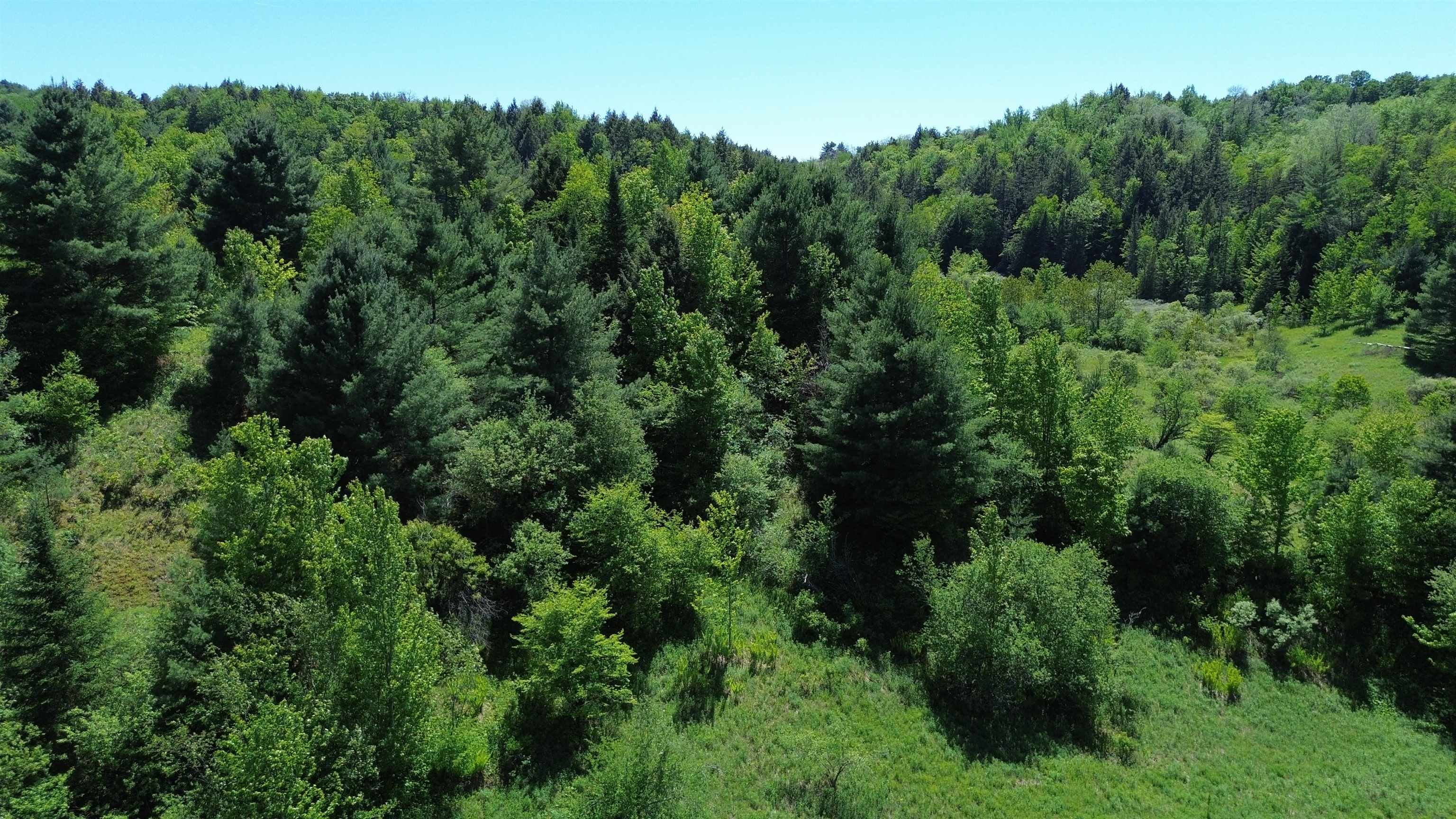 Lot 0 Darling Road Morristown, VT 05661 - Photo 5 of 9