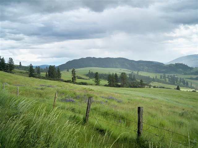 0 Beardslee Road Kettle Falls, WA 99141 - Photo 4 of 6 Gallery Image 4