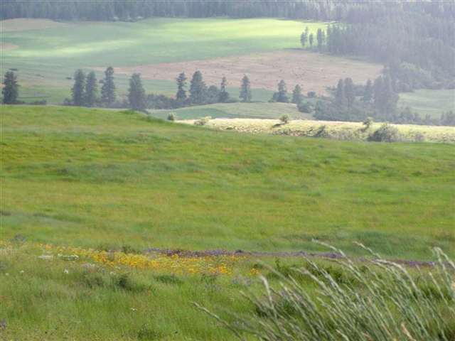 0 Beardslee Road Kettle Falls, WA 99141 - Photo 5 of 6 Gallery Image 5