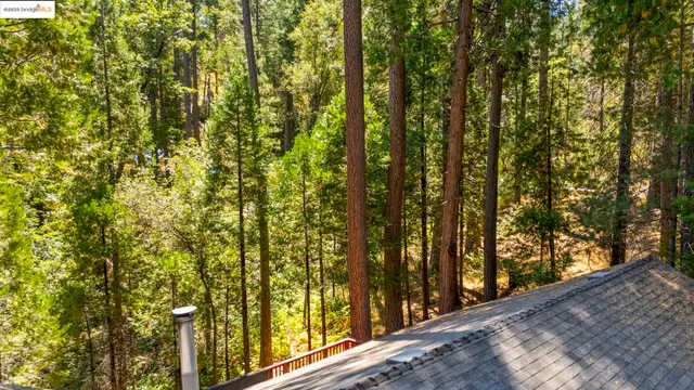 a view of a tree with yard