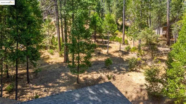 a plant that is in a garden