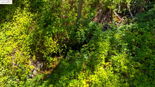 a view of a lake view