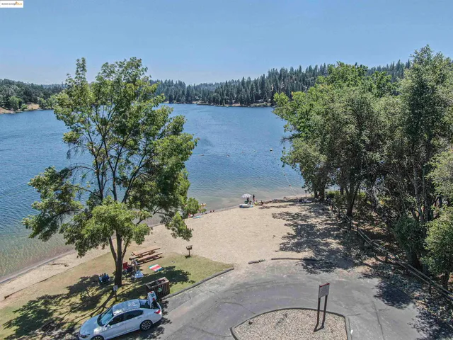an aerial view of green landscape with trees houses and lake view