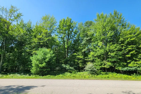 $25,000 | 6127 Fawn Lake Drive, Canadian Lakes, MI 49346