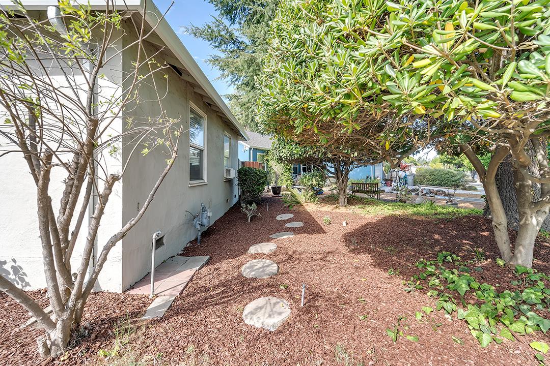 1197 Broadleaf Lane San Jose, CA 95128 - Photo 28 of 29 a view of a yard with large trees