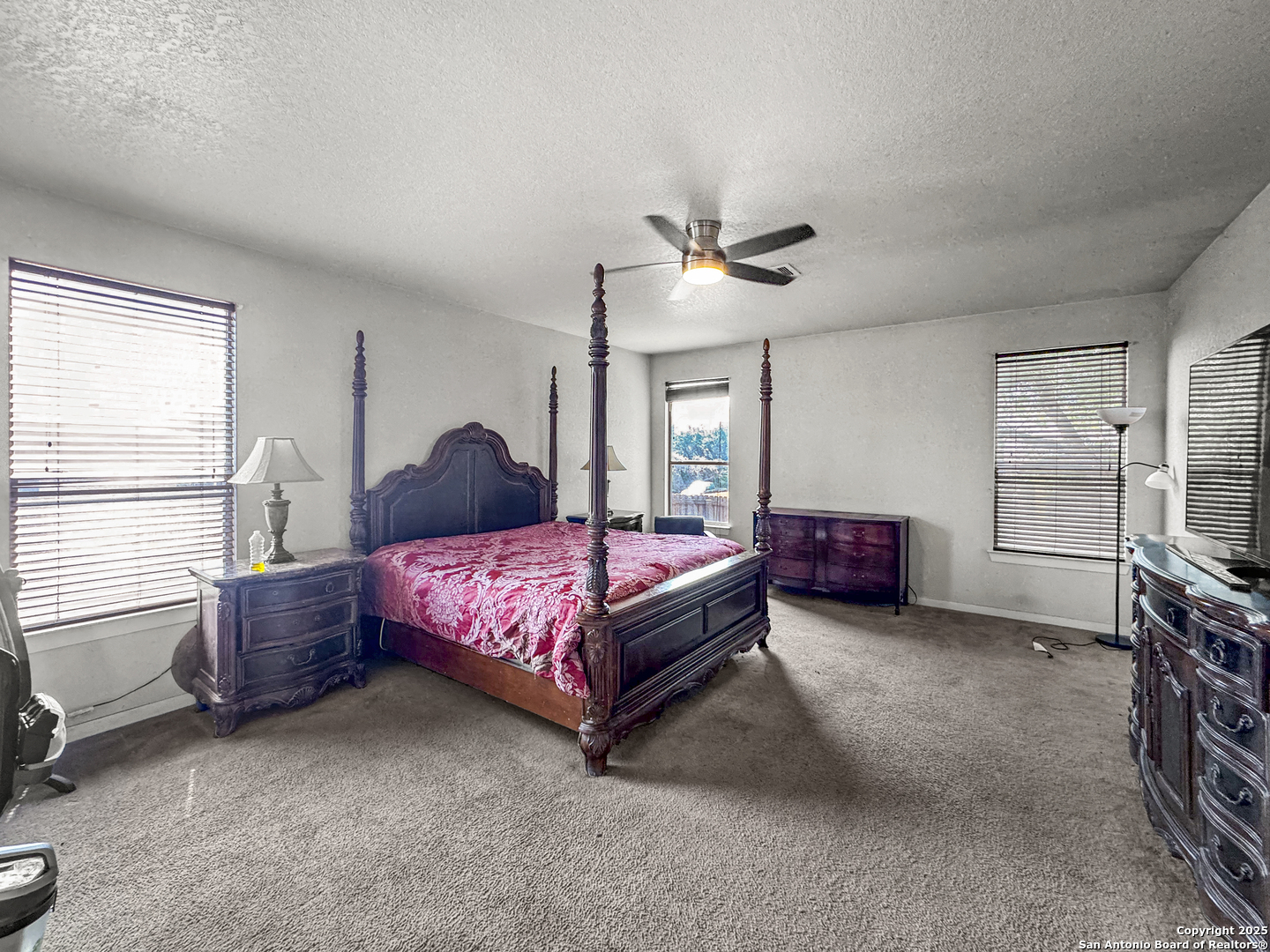 145 Springtree Gate Cibolo, TX 78108 - Photo 10 of 20