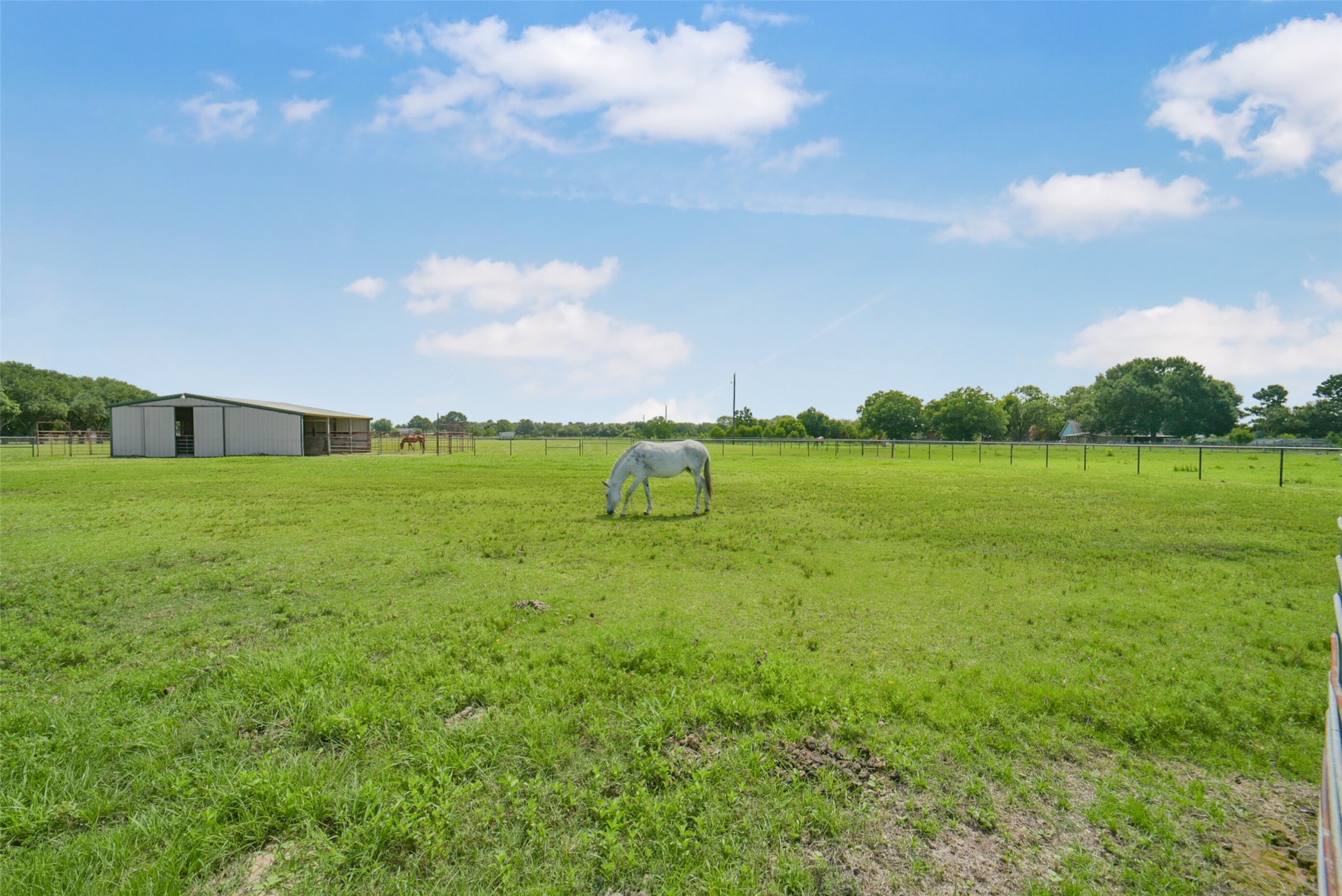 29103 Quail Nest Road Hockley, TX 77447 - Photo 25 of 49 View of acreage and barn