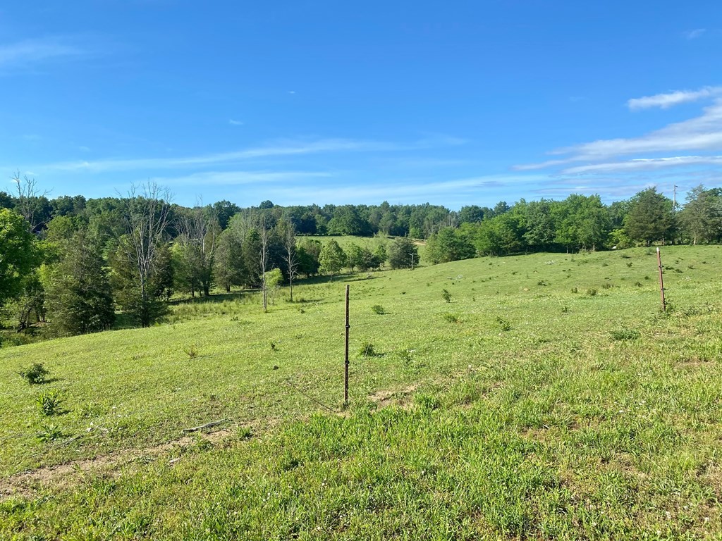 0 Walnut Grove Road Sevierville, TN 37876 - Photo 2 of 21