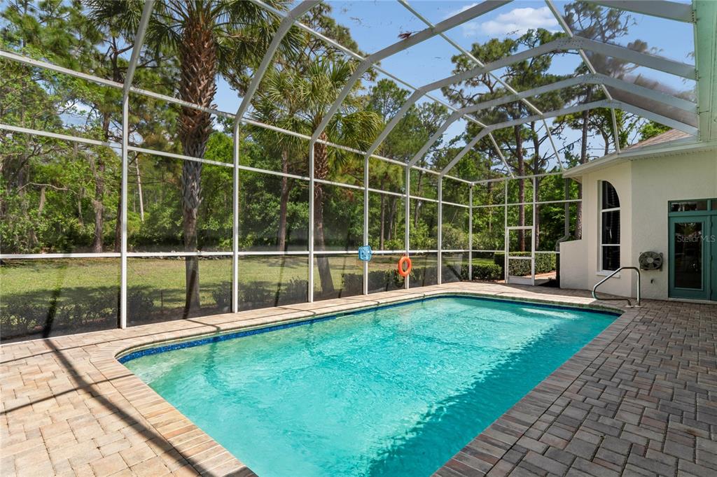 10801 Alico Pass New Port Richey, FL 34655 - Photo 3 of 76
