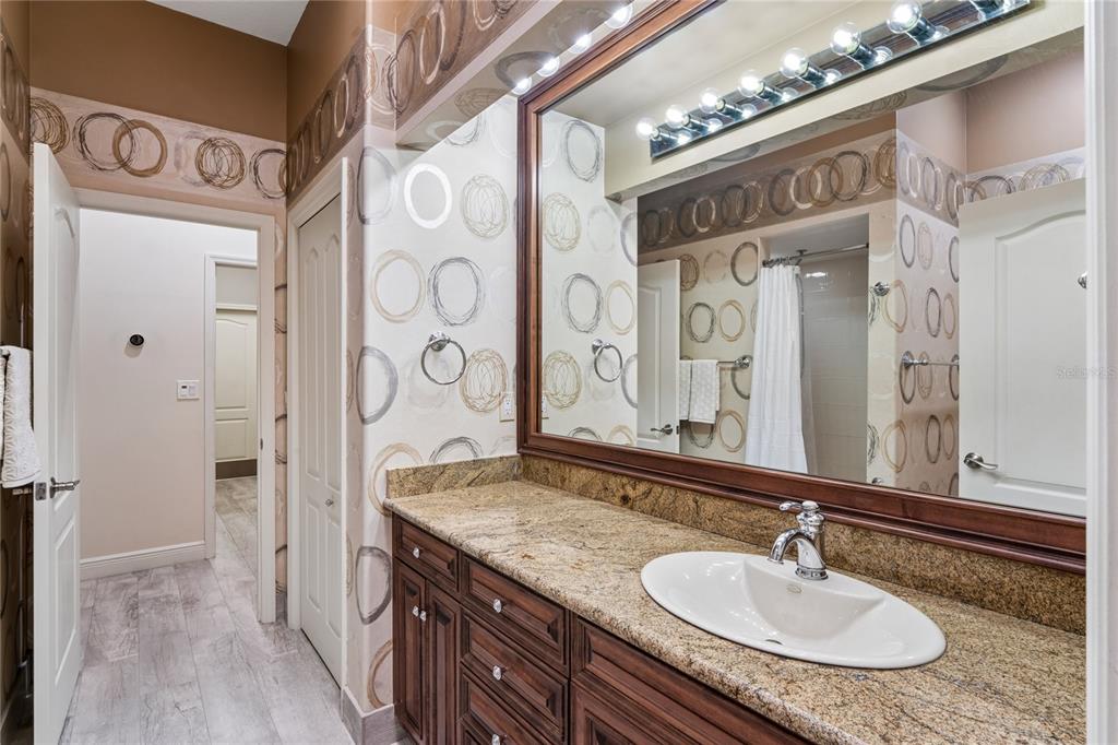 10801 Alico Pass New Port Richey, FL 34655 - Photo 46 of 76