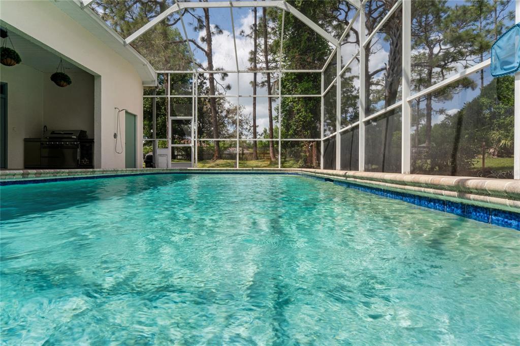 10801 Alico Pass New Port Richey, FL 34655 - Photo 56 of 76