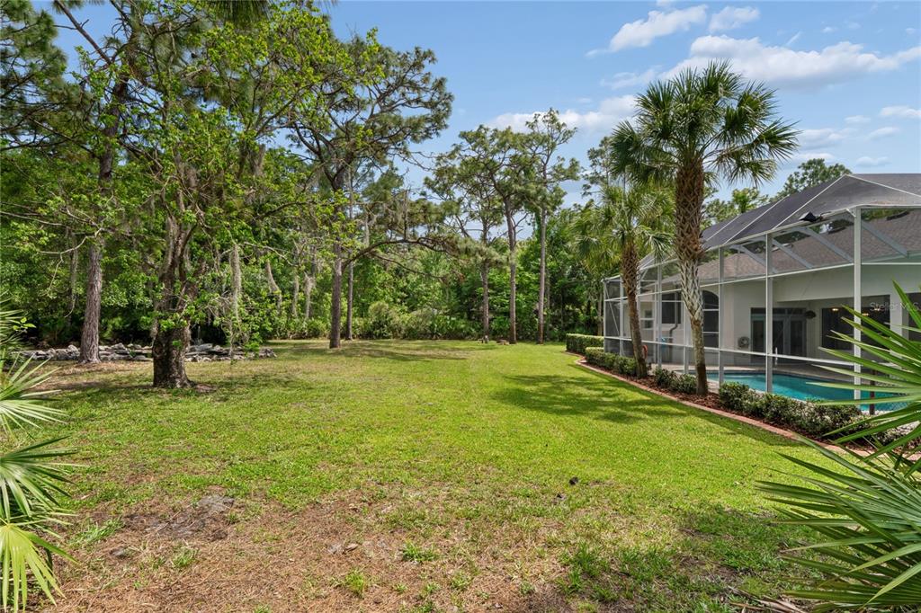 10801 Alico Pass New Port Richey, FL 34655 - Photo 60 of 76