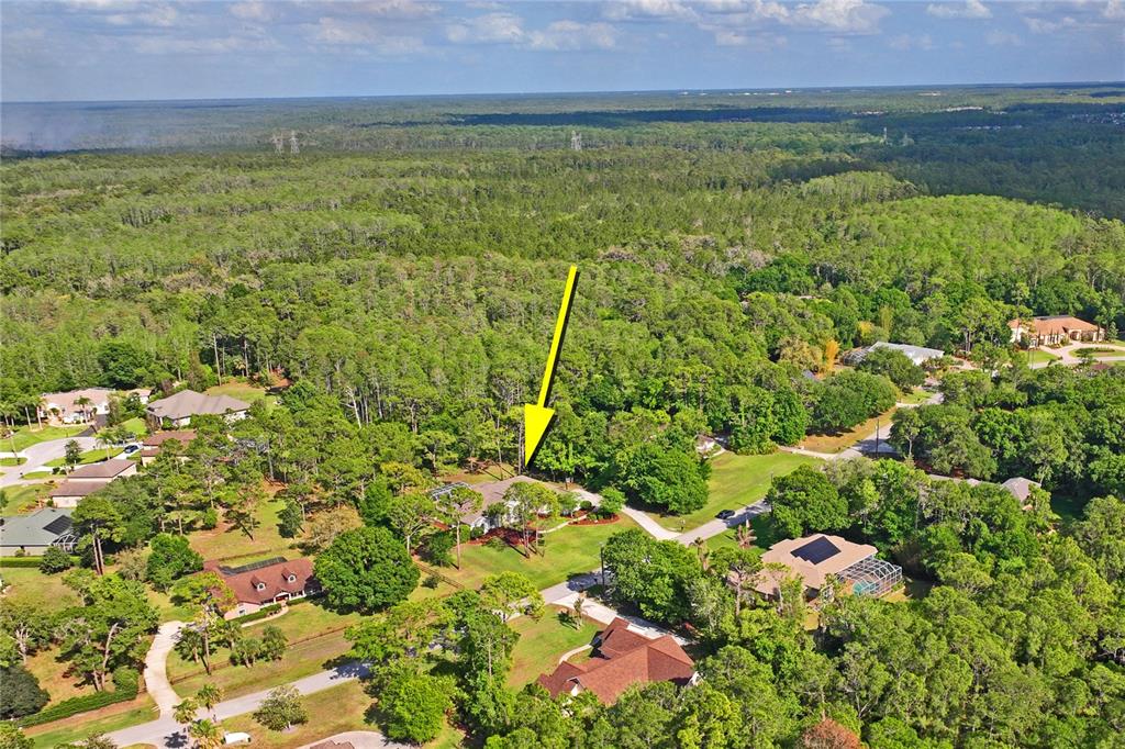 10801 Alico Pass New Port Richey, FL 34655 - Photo 73 of 76