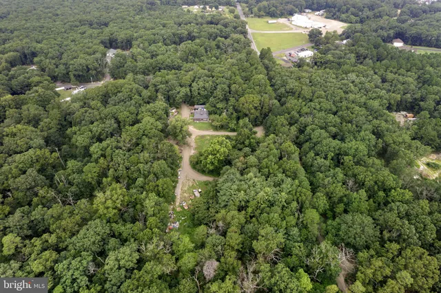 a view of a forest with a houses