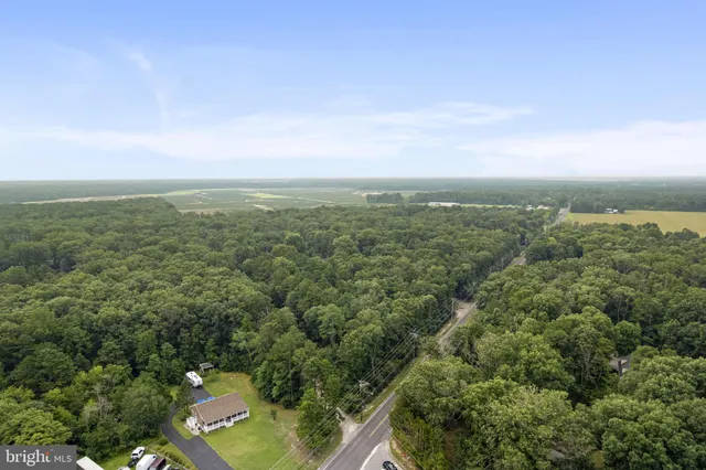 an aerial view of residential houses with outdoor space and trees