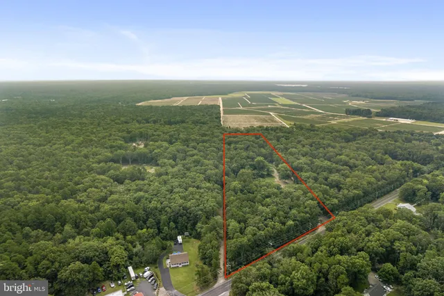 an aerial view of residential houses with outdoor space and trees