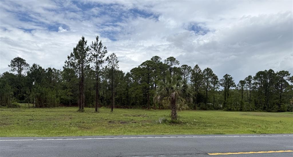 24 Sr Cedar Key Cedar Key, FL 32625 - Photo 1 of 4 a view of a field with a trees in the background
