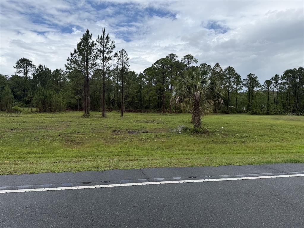 24 Sr Cedar Key Cedar Key, FL 32625 - Photo 4 of 4 a view of a field with a play ground
