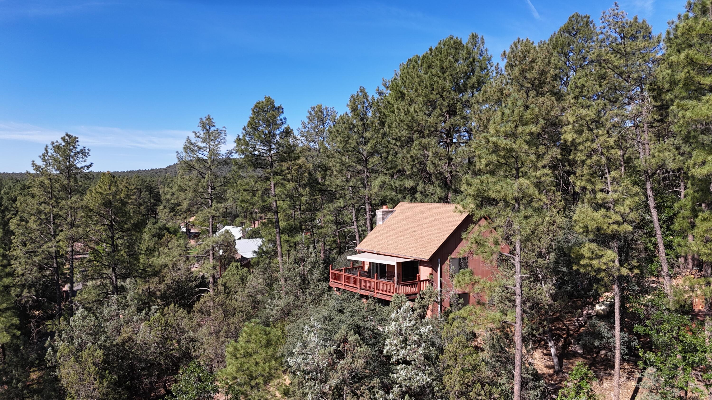3407 Ridge Trail Pine, AZ 85544 - Photo 11 of 49