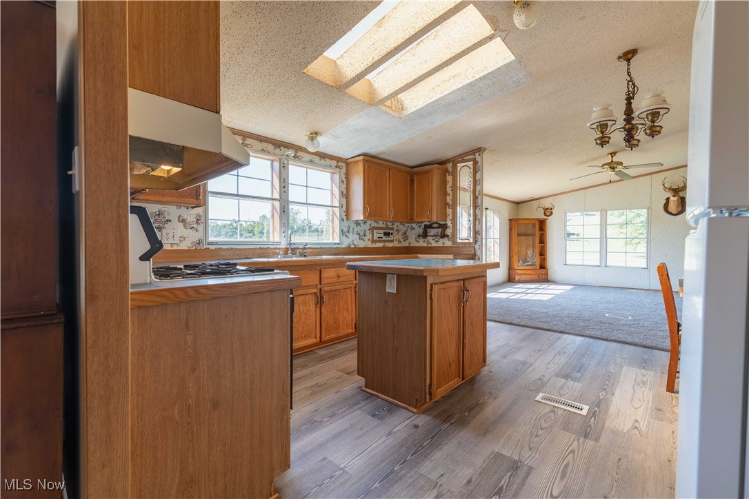 73550 Old Twenty One Road Kimbolton, OH 43749 - Photo 11 of 35 Kitchen featuring lofted ceiling with skylight