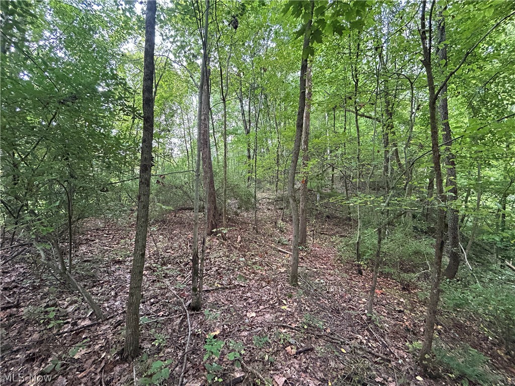 282 Township Road Coshocton, OH 43812 - Photo 14 of 40 Gallery Image 14