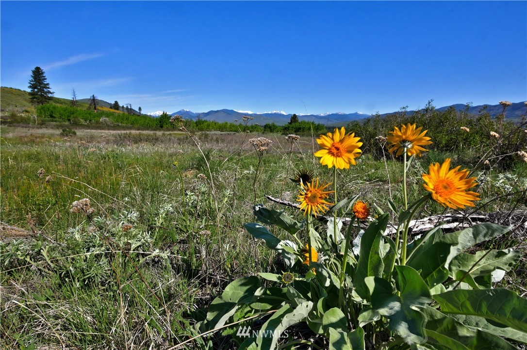 2 Rising Eagle Road Twisp, WA 98856 - Photo 1 of 22 Gallery Image 1