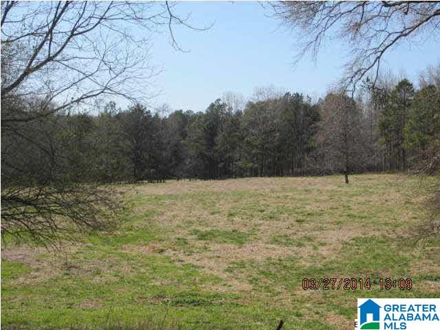 2137 State Lake Road Lineville, AL 36266 - Photo 14 of 17