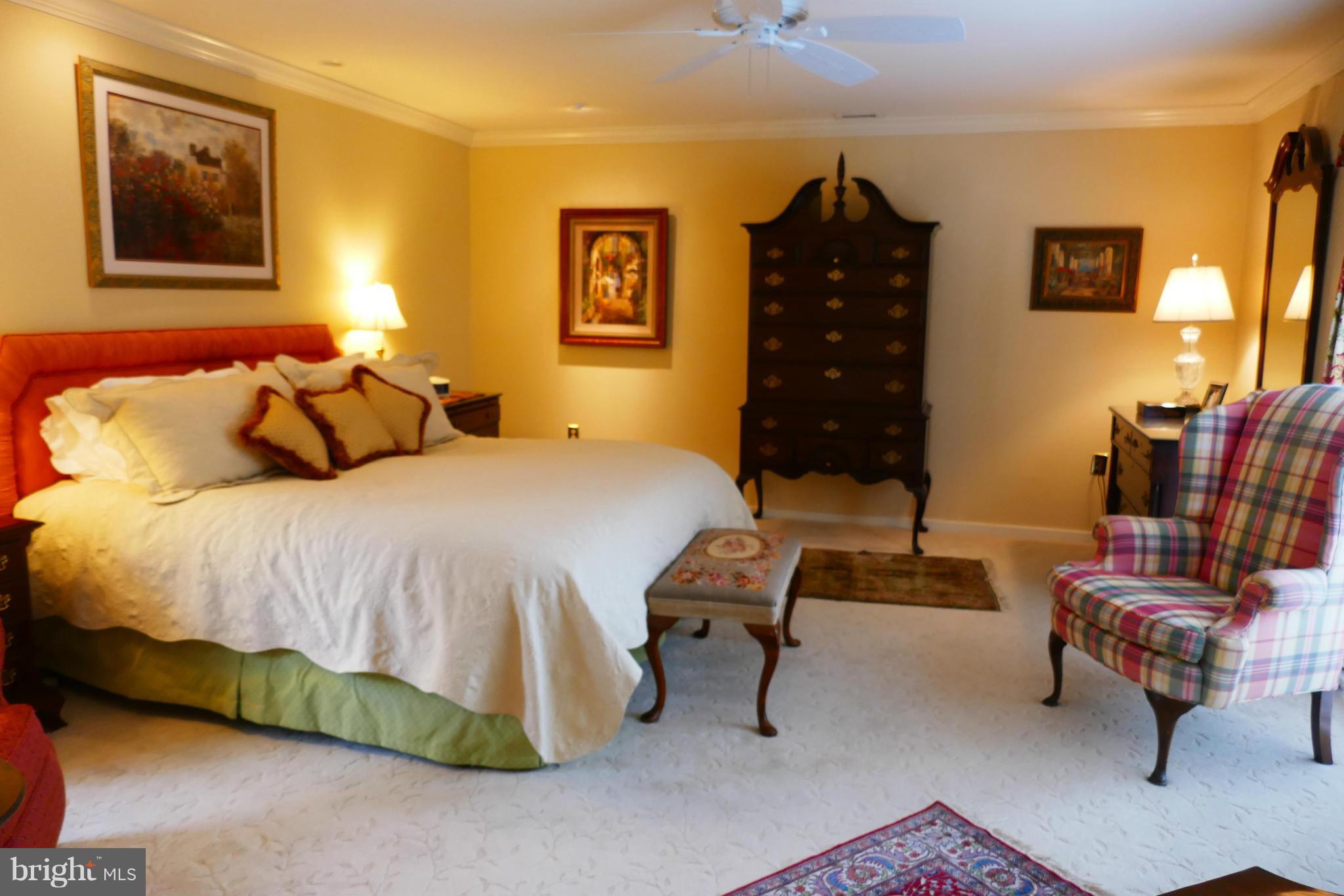 15 Roland Mews, Unit R115 Baltimore, MD 21210 - Photo 19 of 30 Bedroom (Master) (has 2 walk in closets!)