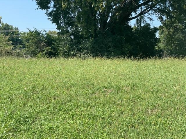 a view of backyard with green space